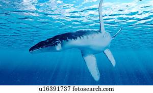 Illustration of a Liopleurodon