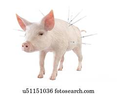 ilustração, de, seringas, aderido, em, um, porca