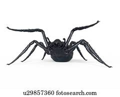 ilustração, de, um, aranha