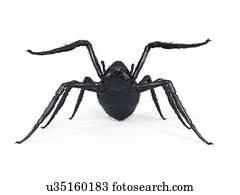 ilustração, de, um, aranha