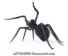 ilustração, de, um, aranha