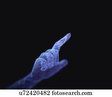 ilustração, de, um, orgânica, mão artificial, fazer, um, gesto, de, contato, com, life.