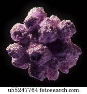 ilustração, de, um, vírus