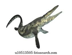 Mosasaurus, illustration