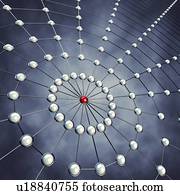 Network, illustration