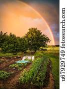 Rainbow over allotment