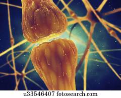synaptic, transmissão, illustration.