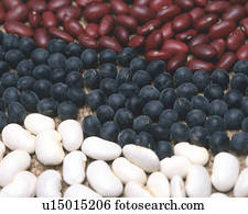 Arroz, Trigo, Frijoles y Otros Granos - Colecciones de fotografías