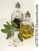 sábio, vinagre, e, óleo