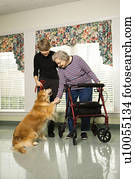 Elderly Caucasian woman using walker and middle-aged daugher petting dog in hallway of retirement community center.