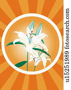 blumen, gerahmt, in, dass, kreis, von, dass, sonne blumen, gerahmt, in, dass, kreis, von, dass, sonne