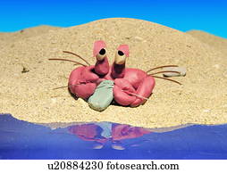 Cancer:, krabbe, auf, a, sandstrand Cancer:, krabbe, auf, a, sandstrand