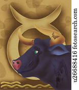nahaufnahme, von, stier, mit, tierkreis, zeichen, stier nahaufnahme, von, stier, mit, tierkreis, zeichen, stier