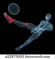 ferimento football, artwork