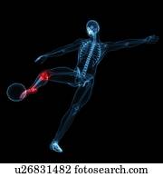 ferimento football, artwork