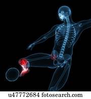 ferimento football, artwork