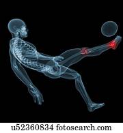 ferimento football, artwork