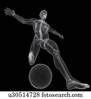 futbolista, ilustraciones