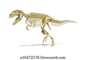 Giganotosaurus, esqueleto dinossauro, artwork