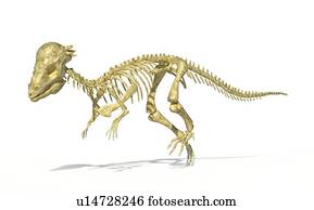 Pachycephalosaurus, esqueleto, artwork