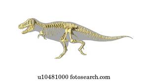 rex tyrannosaurus, esqueleto, artwork