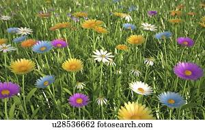 wildflower, prado, artwork