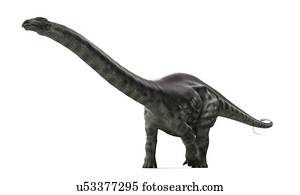 apatosaurus dinosaur