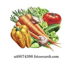 Fresh fruit and vegetables, artwork