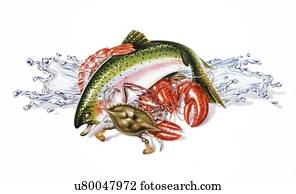 Fresh seafood, artwork