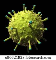 suínos, gripe, artwork