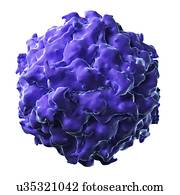 Satellite panicum mosaic virus particle