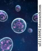 Animal cells, artwork