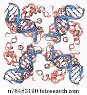 E coli Holliday junction complex