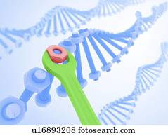 engenharia genética, conceitual, artwork