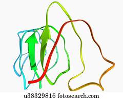 inseto, antifreeze, proteína