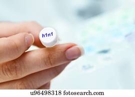 pássaro, gripe, pesquisa