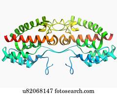 Dengue virus surface protein molecule Drawing | u56271952 | Fotosearch