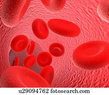 sangue, fluxo, artwork