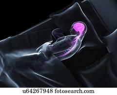 Sleeping man, artwork Sleeping man, artwork