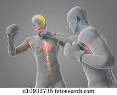 fósforo boxing, artwork