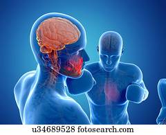 fósforo boxing, artwork