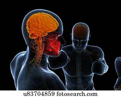 fósforo boxing, artwork