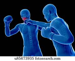 fósforo boxing, artwork