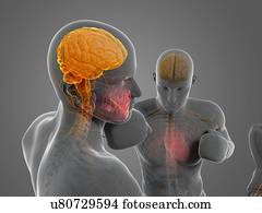 fósforo boxing, artwork