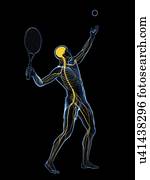 jogador tênis, artwork