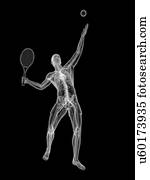 jogador tênis, artwork