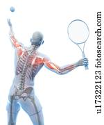 jogador tênis, artwork