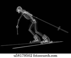 esqueleto, esquiando, artwork