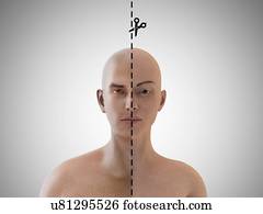 Identity, conceptual artwork