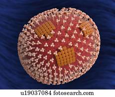 vírus gripe, partícula, artwork